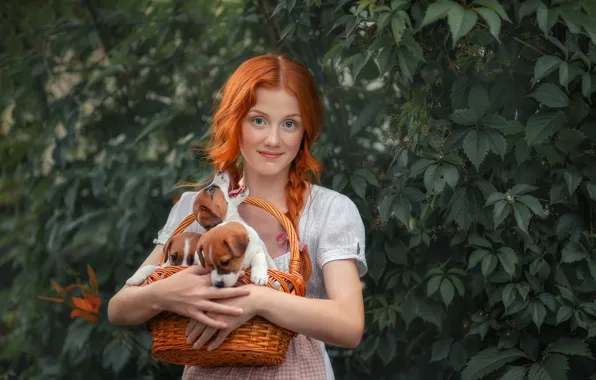 Dogs, summer, look, leaves, girl, smile, hands, garden