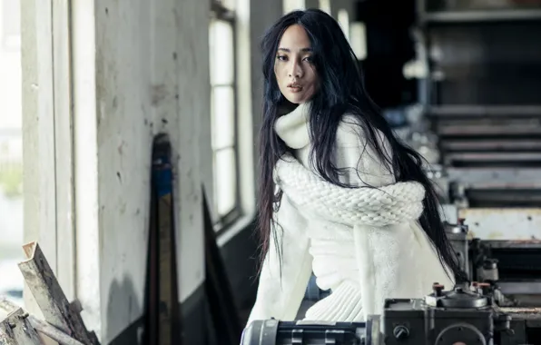 Look, model, brunette, workshop, sweater