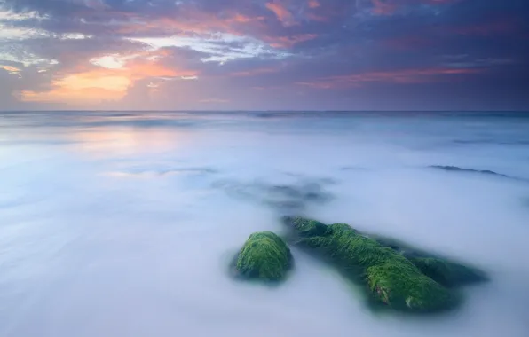 Picture the sky, clouds, sunset, clouds, stones, shore, moss, Sea