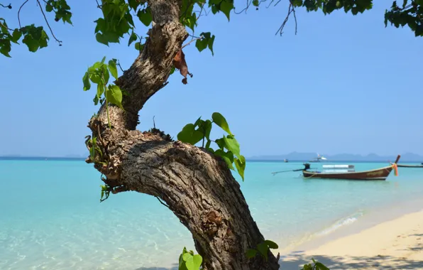 Beach, Thailand, Conradin