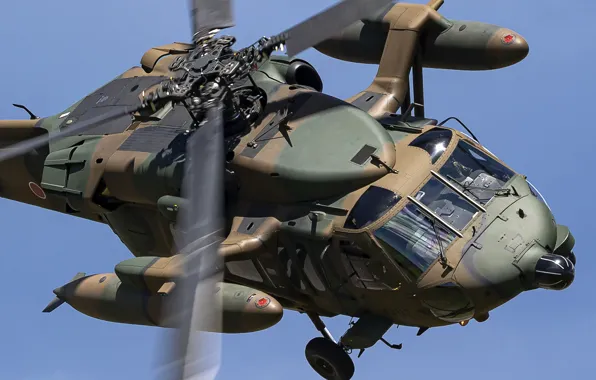 Picture flight, helicopter, UH-60JA