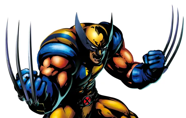 Picture claws, white background, Wolverine, Wolverine, X-Men, comic, Marvel Comics, X-Men