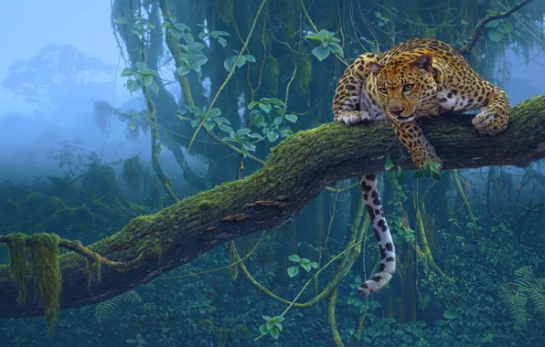 Trees, tropics, predator, Jaguar