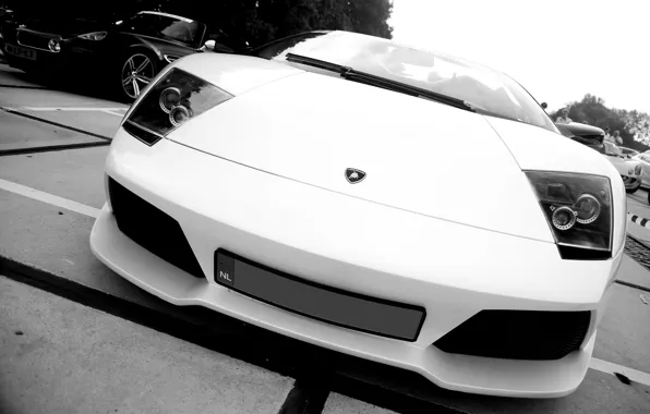 Picture auto, black and white photo, Lamborghini murcielago