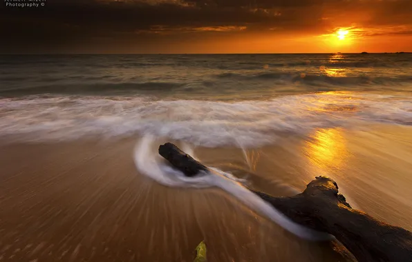 Sand, beach, the ocean, dawn, log