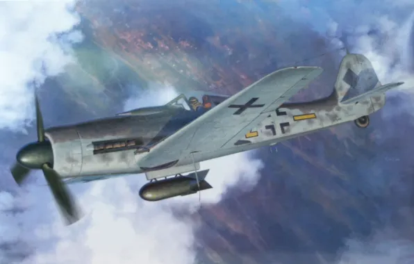 Picture war, ww2, Fw190D