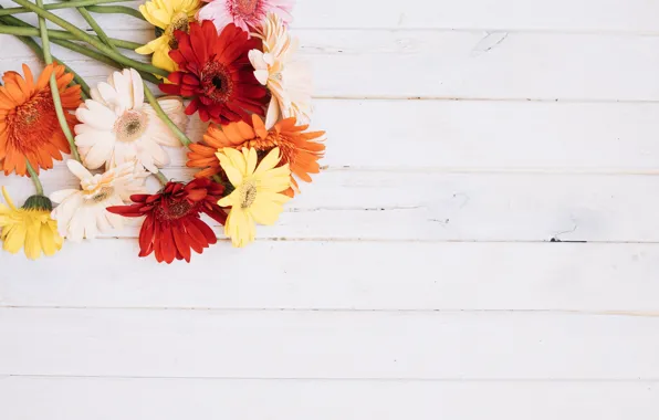 Picture flowers, bouquet, gerbera