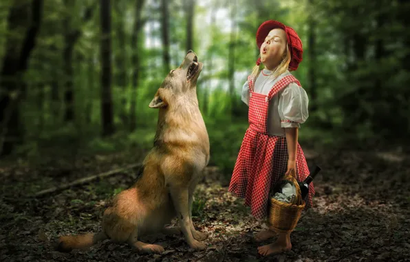 Picture forest, meeting, wolf, the situation, girl, Little Red Riding Hood