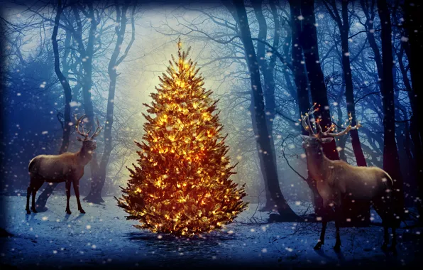 Picture forest, snow, trees, new year, tree, deer, garland