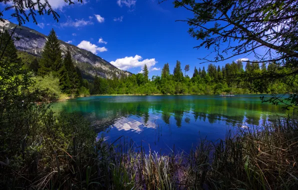 Greens, forest, summer, the sky, the sun, clouds, trees, mountains