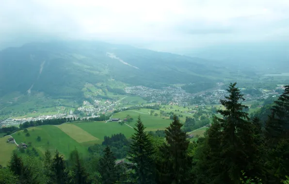 Forest, clouds, trees, fog, Switzerland, valley, village, Switzerland