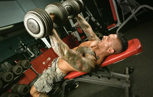 Gordon, Adam, bodybuilder