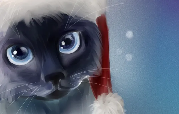 Picture cat, hat, new year, art, muzzle