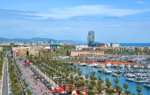Palm trees, yachts, Spain, Barcelona, Barcelona, Spain, piers