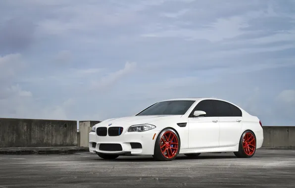 Picture roof, white, BMW, BMW, Parking, white, front view, f10