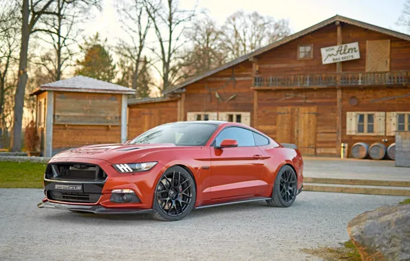 Picture Mustang, Ford, Mustang, Ford, Geiger