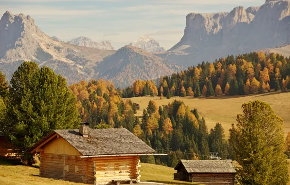 Picture autumn, forest, the sun, trees, mountains, rocks, valley, Italy