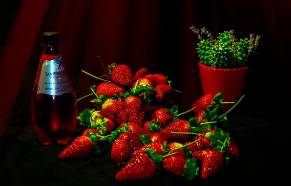 Red, berries, the dark background, wine, bottle, cactus, strawberry, fabric