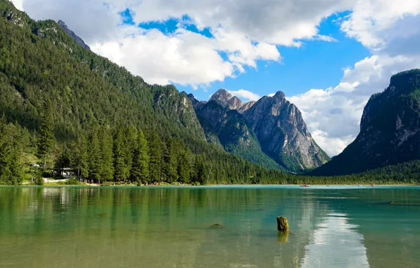 Forest, the sky, the sun, clouds, trees, mountains, lake, rocks