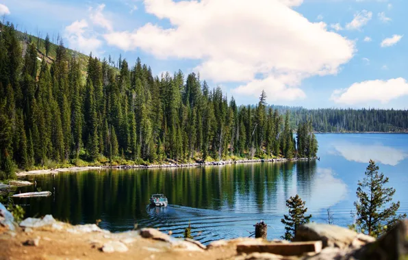 Picture forest, summer, the sky, water, nature, lake