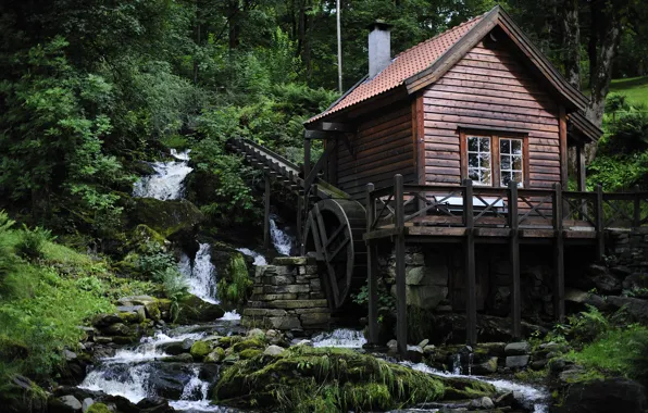 Picture forest, house, river, mill