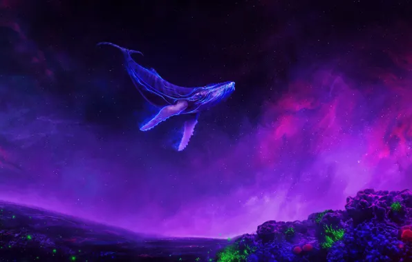 Space, Nebula, Corals, Kit, Fantasy, Art, Underwater, Fiction