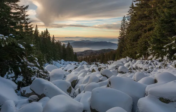 Picture winter, forest, snow, landscape, mountains, nature, boulders, kurums