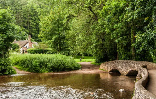 Picture forest, trees, bridge, house, river, UK, Somerset