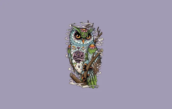 Flower, owl, bird, minimalism, branch, owl