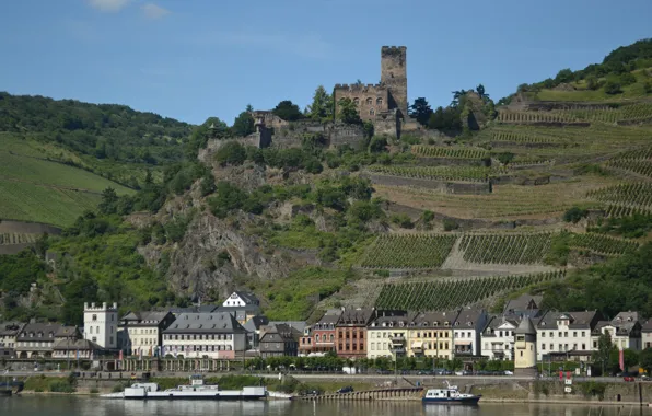 Picture Home, The city, River, Building, Nature, Germany, River, Town