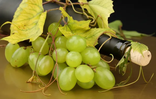 Picture white, leaves, wine, bottle, grapes, tube, antennae, cortical