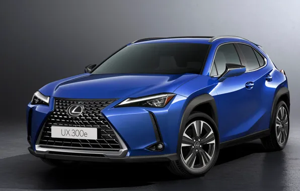 Electro, crossover, 2022, Lexus UX300e