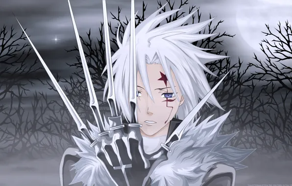 Picture trees, night, the moon, star, anime, guy, all walker, D.Gray-man