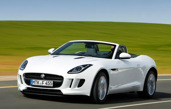 Picture road, white, Jaguar, car, 2013, F-Type