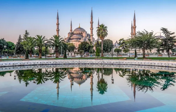 Trees, reflection, palm trees, pool, Istanbul, The Mosque Of Sultan Ahmet, Turkey, Istanbul