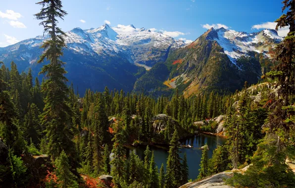 Picture wallpaper, nature, lake