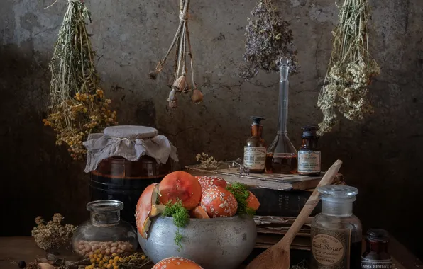Table, mushrooms, Amanita, still life