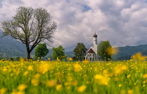 Trees, flowers, mountains, Germany, Bayern, Alps, meadow, Church