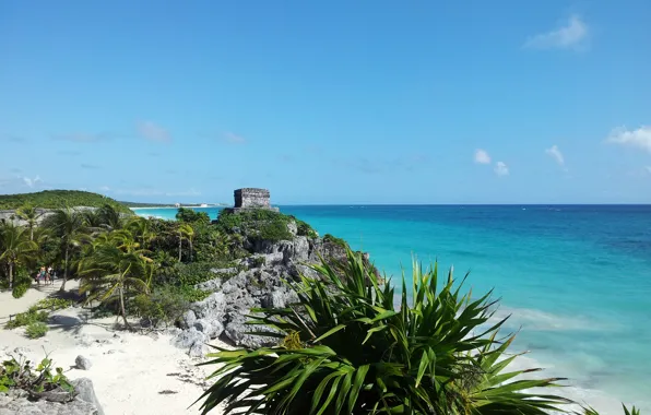 Beach, tropics, beauty, Тulum