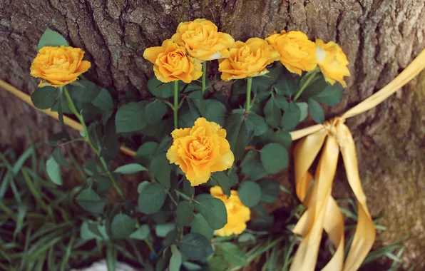 Flowers, tree, yellow, petals, tape, bark, ribbon