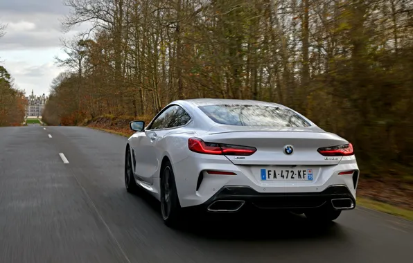 Road, white, trees, coupe, BMW, 2018, 8-Series, Eight