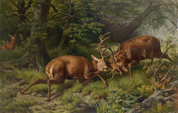 Battle, deer, Franz Xaver von Pausinger