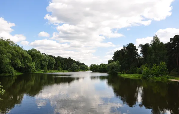 Picture summer, the sky, water, the sun, clouds, trees, nature, lake