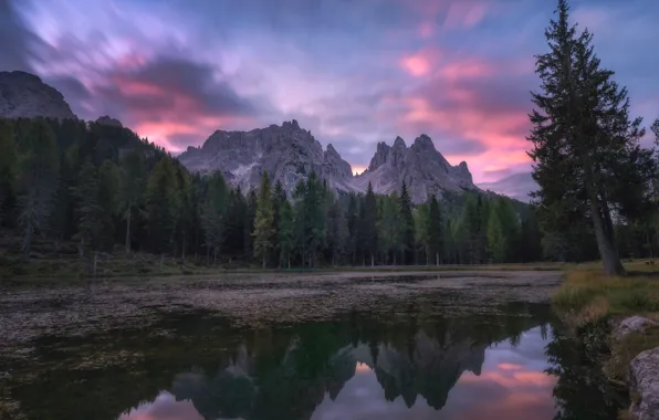 Forest, clouds, trees, sunset, mountains, lake, reflection, shore