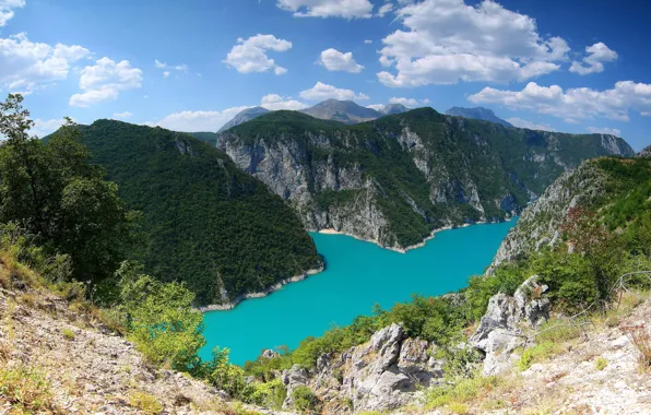 Forest, landscape, mountains, nature, lake