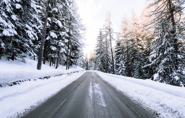 Picture winter, road, forest, the sky, clouds, snow, trees, landscape