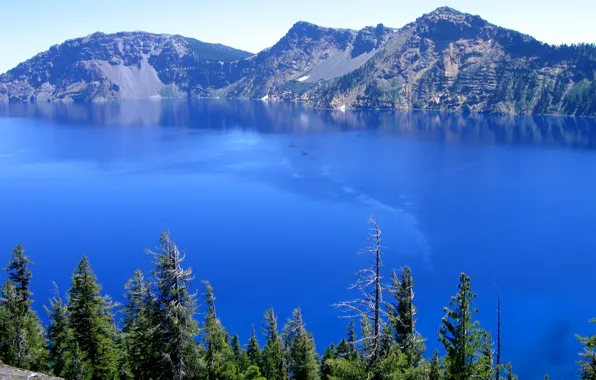 Picture landscape, nature, pine