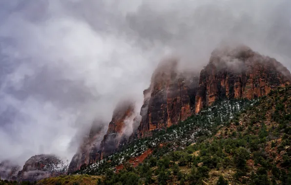 Picture landscape, rocks, canyon, Zion National Park, Utah