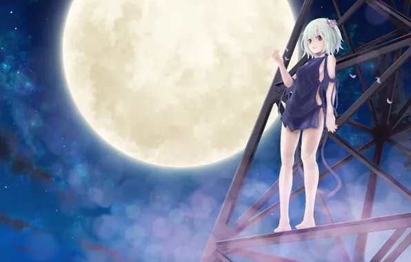 Picture the moon, the game, petals, blonde, fragile, flower in hair, anime girl