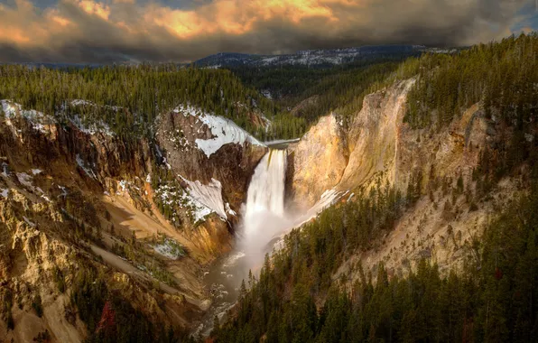 Picture forest, waterfall, canyon, Wyoming, national Park, Lower Falls, USА, Canyon Junction